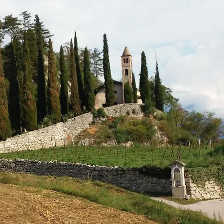 Masi * Lasino